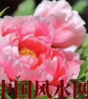 青海预示你财运上升,姻缘可成的梦境,快来看看吧!