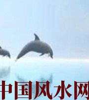 青海做梦梦到这些,是要富裕的征兆!